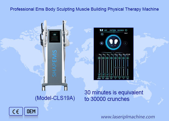 Goede prijs 2-4 weken Behandeling Bekkenbodemstimulator voor ziekenhuis online