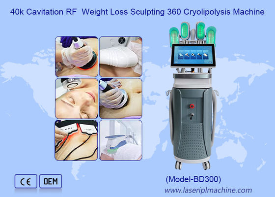 Goede prijs 40k Cavitatie RF Gewichtsverlies Sculpting 360 Cryolipolysis Machine online
