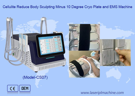 Goede prijs 2 in 1 Cryo Plate En EMS Slimming Machine Voor Vet Bevriezing Huid Strengthening online