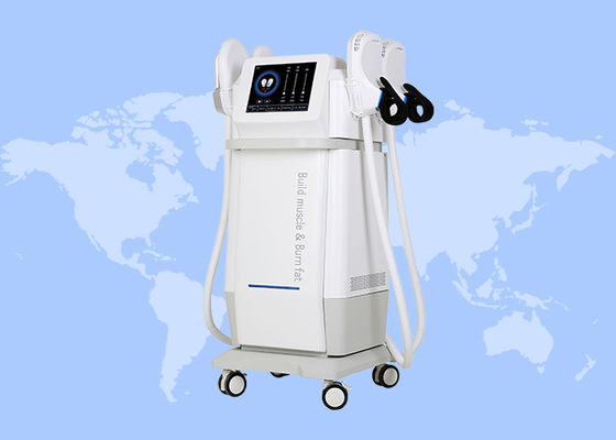 Goede prijs Spieropbouw en vetverbranding Body Sculpt Fitness EMS apparatuur online