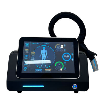 Goede prijs Pmst Loop Pemf Therapie Machine voor Menselijke Pijnverlichting en Diergezondheidszorg online