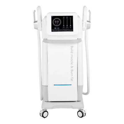 Goede prijs 2Handle 5mode Electro Magnetic body Slim Nero RF 30000 Spier Sculpt Vetverbrandingsmachine online