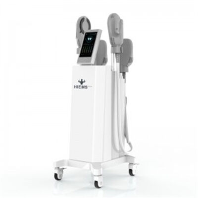 Goede prijs Niet-invasieve Cellulite Verwijdering Spierstimulator HIEMT EMS Body Sculpting Machine online