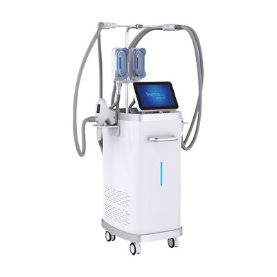 Goede prijs 5in1 Vacuüm RF Criolipolisis Cellulitis Reductie Vetverlies Velashaping Slimming Machine online