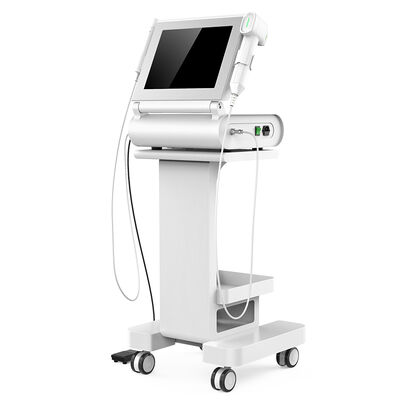 Vrouwelijke Privé Zorg 3D HIFU Machine, Vaginale het Aanhalen Huid het Aanhalen Machine