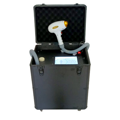 Draagbare Pijnloze Permanente de Verwijderingsmachine 755nm 1064nm 808nm van het Diodehaar