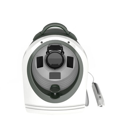 Draagbare van de het Meetapparaathuid van de Huid Magische Spiegel 3D Gezichts de Analysemachine voor Huisgebruik