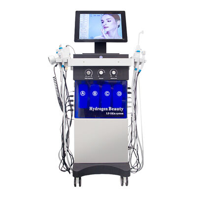 Goede prijs 14 In 1 Ultrasone Scrubber RF Bio Gezichtsreiniging Hydrodermabrasie Machine online