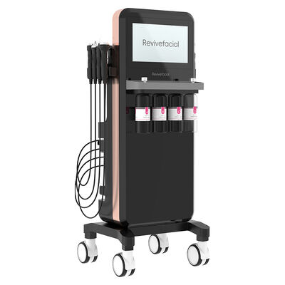 Goede prijs 14 In 1 zuurstofstraal H2O2 Exfoliating Hydrating Cleaning Machine online