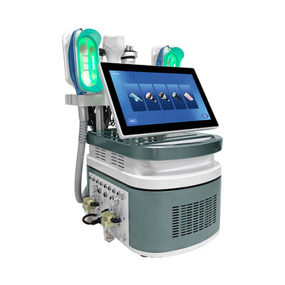 Draagbaar Koud Lichaam die de Koele SlimmingShaping Machine van Cryolipolysis beeldhouwen