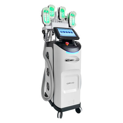 Goede prijs Lichaamsverlies Gewichtsverlies Cryotherapie Cool Body Sculpting 360 Cryo Fat Freezing Machine online