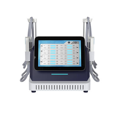 Goede prijs 2 in 1 Cryo Plate En EMS Slimming Machine Voor Vet Bevriezing Huid Strengthening online