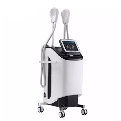 2.3KVA de Spierstimulator van het lichaamsvermageringsdieet 220v 300µS EMS