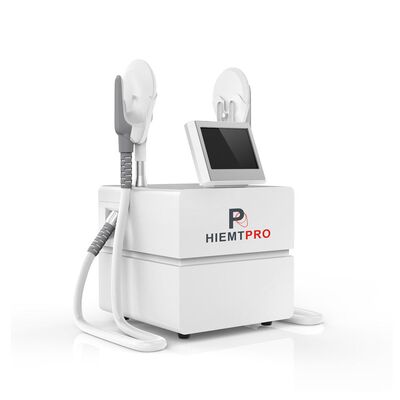 Goede prijs De Machine van Mini Weight Loss Beauty 2.3KVA Hiemt online