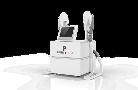 Goede prijs Beeldhouwwerk 7 van de kuuroordspier de Schoonheidsmachine van Tesla HIEMT online