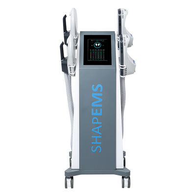 Goede prijs Verticale gewichtsverliesfunctie EMS spierstimulator massager online