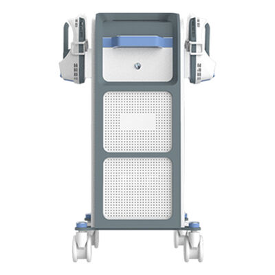 Goede prijs Elektrische spierstimulatie voor spa's en fitness online