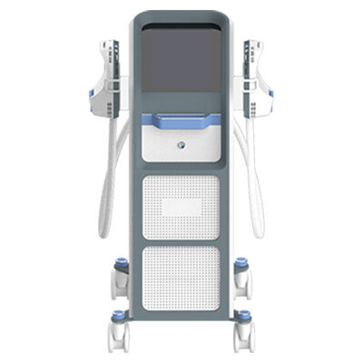 Goede prijs Spieropbouw Hi Emt Machine 1-100 Hz Frequentie EMS Op Buikvet online