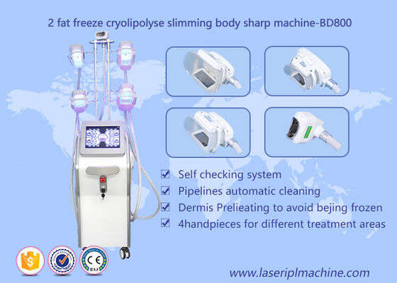 Goede prijs Het Vermageringsdieetmachine van Cryolipolysis van het vormlichaam, de Schoonheidsmateriaal van Lipo Cryo Cryolipolysis online