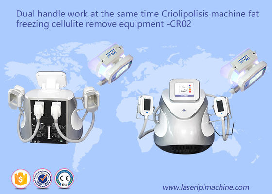 Goede prijs Dubbel Handvatvet die Cellulite-de Machines CR02 110v/220v bevriezen van het Gewichtsverlies online