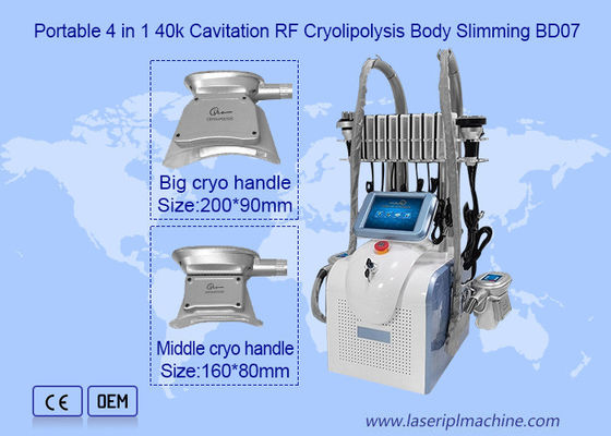 Goede prijs 2 de Machine van het handvat650nm 1mhz Cryolipolysis Vermageringsdieet online