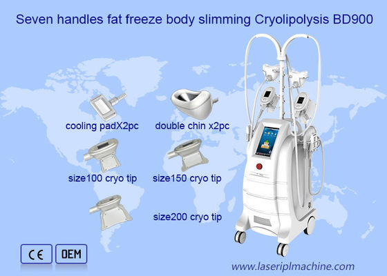 Goede prijs Vet die Dubbel Chine Removal Cryolipolysis Machine bevriezen online