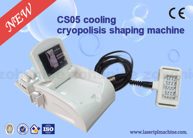 De multifunctionele Koelcryolipolysis-Machine van het Lichaamsvermageringsdieet voor Schoonheidssalon
